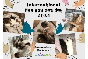 Feiern Sie den Nationalen Umarmen-Sie-Ihre-Katze-Tag mit Puckator Großhandel