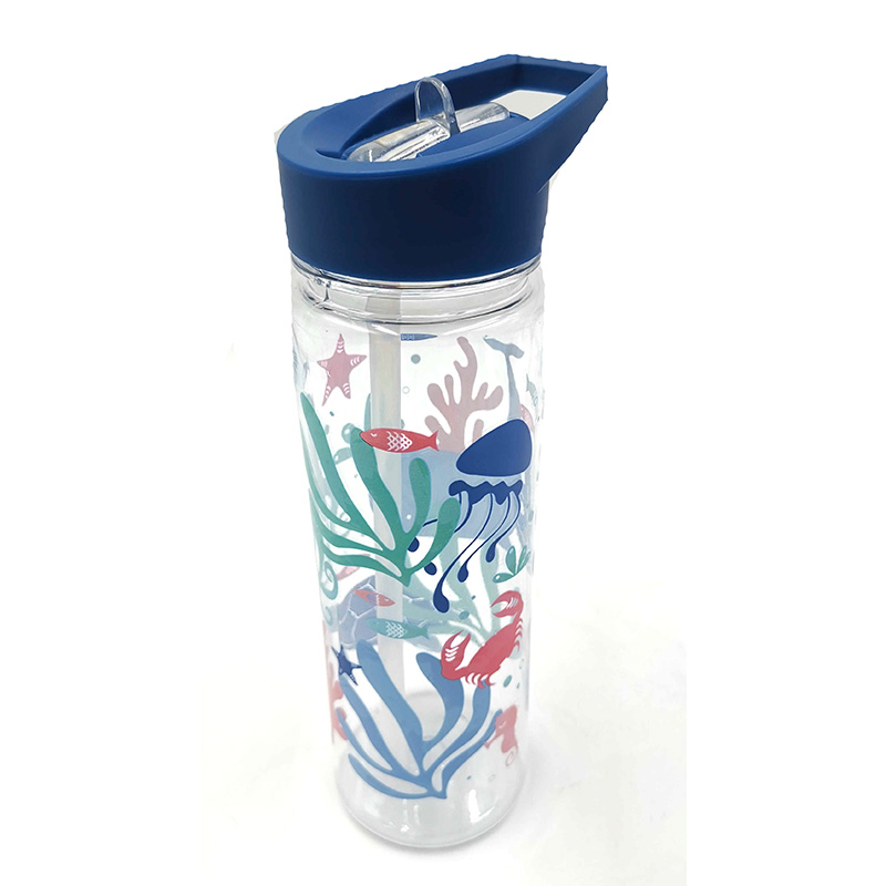 Öko-Fisch Design wiederverwendbare Plastik-Wasserflasche mit faltbarem Strohhalm 550ml