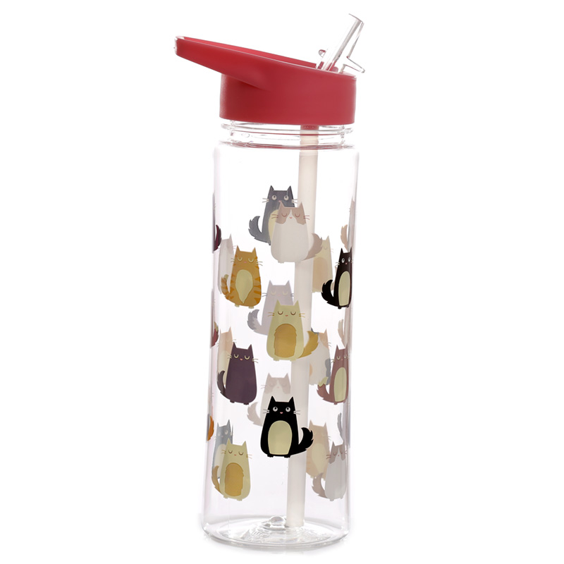 Feline Fine Katze wiederverwendbare Plastik-Wasserflasche mit faltbarem Strohhalm 550ml