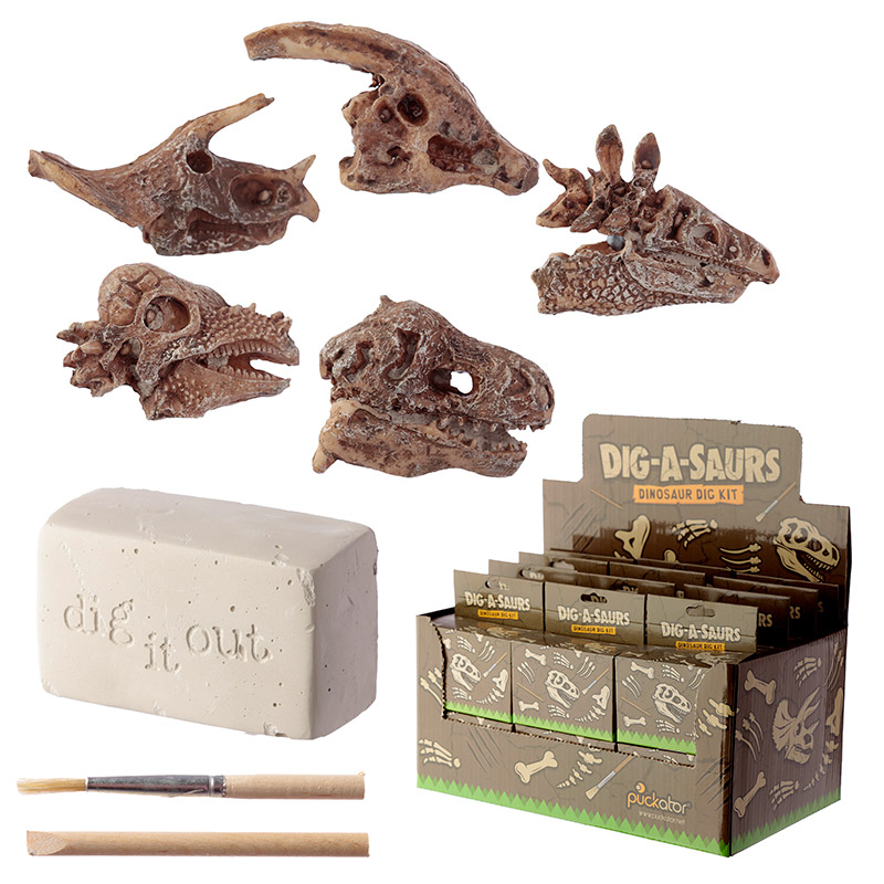 Dig it Out Dinosaurier Schädel Fossil Ausgrabungsset (pro Stück)