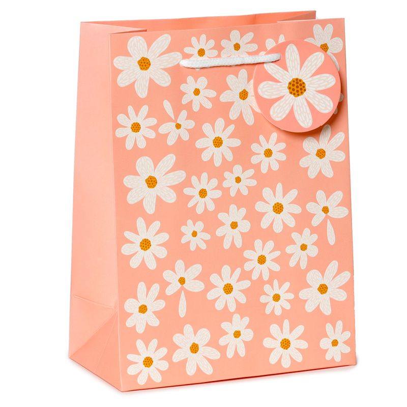 Pick of the Bunch Gänseblümchen Geschenktasche - Mittelgroß (pro Stück)