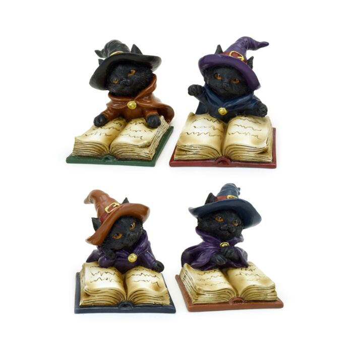 Witches Black Cat Katze liest aus einem Zauberbuch