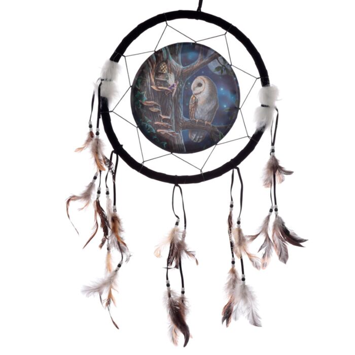 Lisa Parker Märchen Eule & Fee Traumfänger 33cm