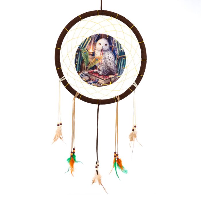 Lisa Parker Hüter der Zaubersprüche Eule Traumfänger 33cm