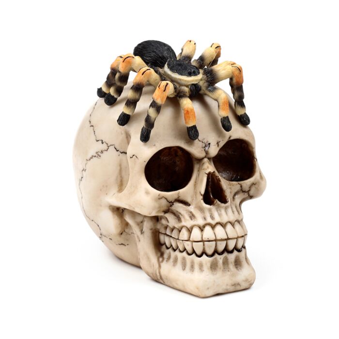 Totenkopf mit Spinne