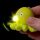 KEY19_005.jpg