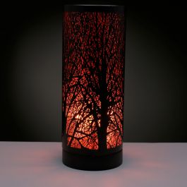 LAMP10E_001.jpg
