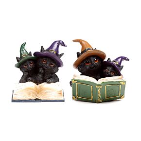 Schwarze Hexenkatze magisches Zauberbuch