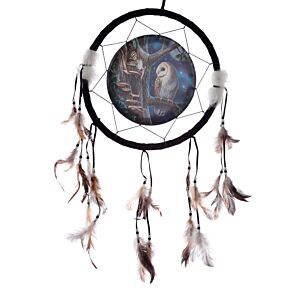 Lisa Parker Märchen Eule & Fee Traumfänger 33cm