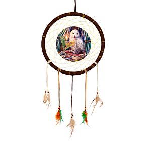 Lisa Parker Hüter der Zaubersprüche Eule Traumfänger 33cm