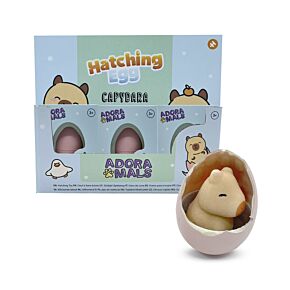 Capybara Wasserschwein Schlüpfendes Ei