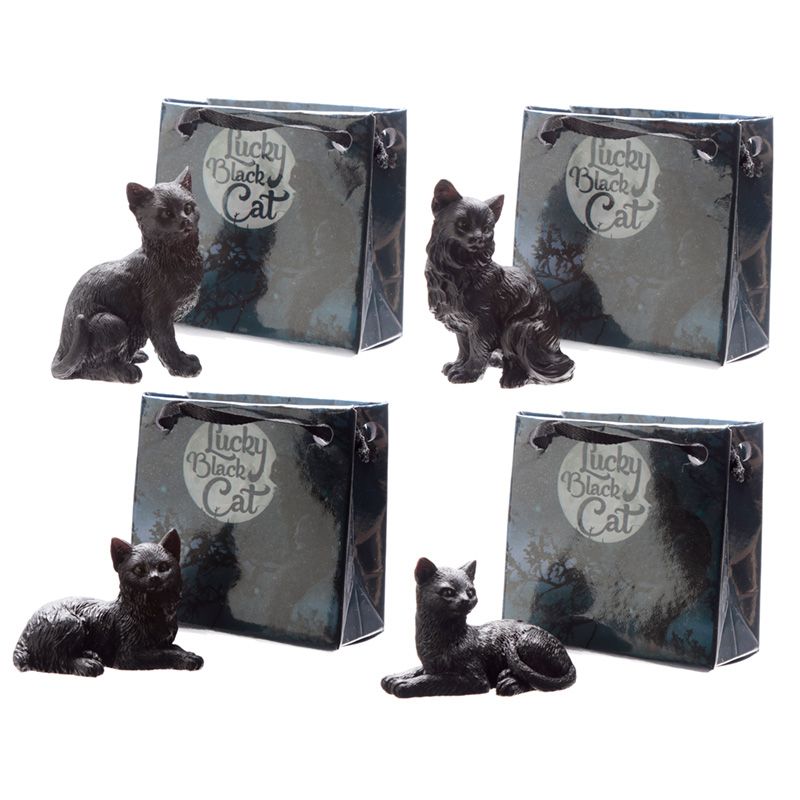 Glückliche Schwarze Katze in einer Mini Geschenktasche