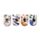 Nectar Meadows Biene Magnetische Lesezeichen Set