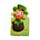 Luck of the Irish Irland Magnetische Lesezeichen Set