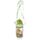 Zooniverse Zootiere Wasserflasche mit Flip-Strohhalm & Tragekordel 450ml