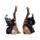 Witches Black Cat Schwarzer Kater mit Hexenbesen