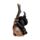 Witches Black Cat Schwarzer Kater mit Hexenbesen