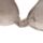 Relaxeazzz Pusheen the Cat Katze Memoryschaum-Reisekissen