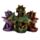 Elements Drei lesende Babydrachen