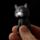 Katze Miao LED-Schlüsselanhänger mit Ton 