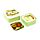 Tropical Frogs Tropen Frosch Frösche Lunchboxen Brotdosen 3er-Set M/L/XL 