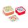 Tulips Tulpen Lunchboxen Brotdosen 3er-Set S/M/L