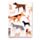 Barks Hund Liniertes Notizbuch aus Recyclingpapier A5