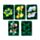 Animal Kingdom Tierwelt Standard-Spielkartendeck