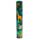 Animal Kingdom Tierwelt Stiftebox mit 12 Buntstiften