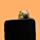Adoramals Axolotl, Faultier, Wasserschwein & Katze selbstklebender 3D-PVC- Handy-Minifigur