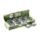 Sheep Schaf Pillendose