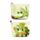 Tropical Frogs Tropen Frosch Frösche PVC-Portemonnaie Geldbörse