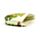 Tropical Frogs Tropen Frosch Frösche PVC-Portemonnaie Geldbörse