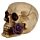 Skull and Bones Totenkopf mit lila Rosen