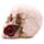 Totenkopf mit Rosen