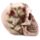 Totenkopf mit Rosen