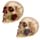 Totenkopf mit Rosen zwischen den Zähnen