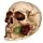 Totenkopf mit Rosen zwischen den Zähnen