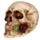 Totenkopf mit Rosen zwischen den Zähnen