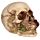 Totenkopf mit Rosen zwischen den Zähnen