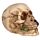 Totenkopf mit Rosen zwischen den Zähnen