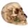 Totenkopf mit Rosen zwischen den Zähnen