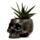 Totenkopf Pflanztopf