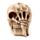 Gruseliger Totenkopf mit Skelettklauenhand Ornament