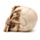Gruseliger Totenkopf mit Skelettklauenhand Ornament