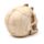 Gruseliger Totenkopf mit Skelettklauenhand Ornament