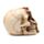 Gruseliger Totenkopf mit Skelettklauenhand Ornament