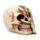 Gruseliger Totenkopf mit Skelettklauenhand Ornament