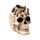 Totenkopf mit Spinne