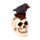 Totenkopf mit Rabe & Roten Rosen